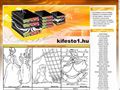 http://lanyos-kifestok.kifesto1.hu ismertető oldala